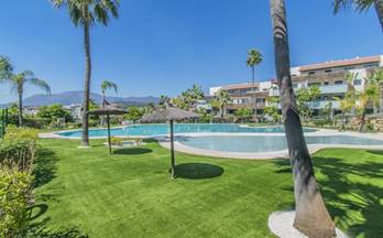 333 pisos en venta nueva andalucia