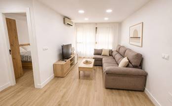 alquiler piso malaga vialia