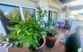 venta apartamento empuriabrava muga
