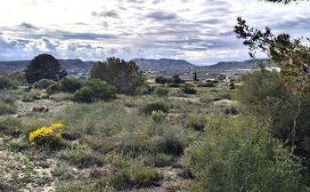 34 terrenos y fincas en venta torrellano