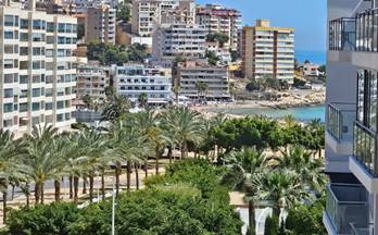 294 venta de pisos en benidorm con terraza