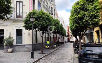 alquiler oficina sevilla centro sevilla