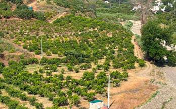 78 terrenos y fincas en venta cutar