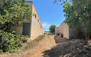 312 terrenos y fincas en venta santa margalida