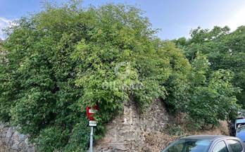 5 terrenos y fincas en venta cercedilla