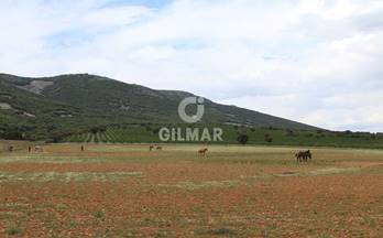 venta finca rustica toledo 