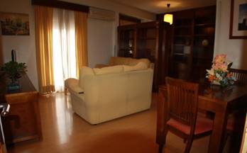alquiler piso plasencia centro