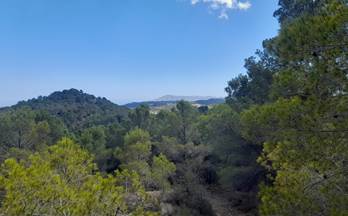venta terrenos solares polop xirles