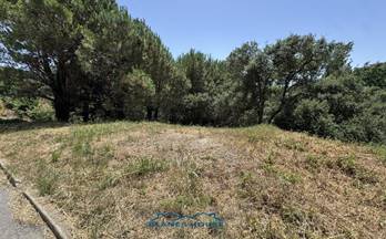 venta terrenos solares tordera 