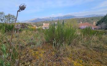 venta terrenos solares soto del real soto del real