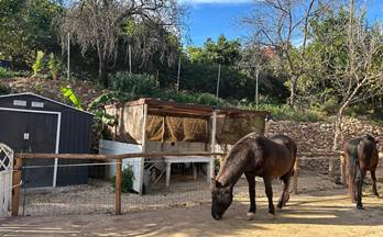 venta chalet polop 