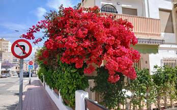 venta bungalow santa pola calle villena