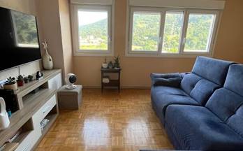 52 pisos en venta ortuella