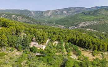 venta finca rustica moratalla moratalla
