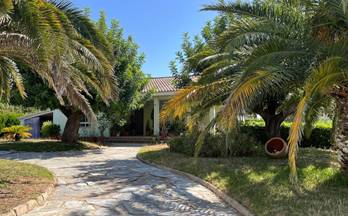 alquiler chalet riba roja de turia comunidad valenciana