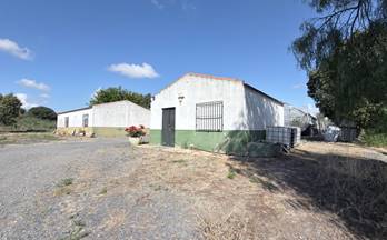 venta finca rustica huelva la ribera