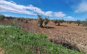 venta terrenos solares bienvenida bienvenida