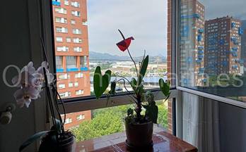 42 pisos en venta barakaldo
