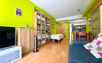 33 pisos en venta sant adria de besos