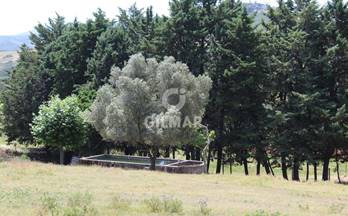 venta finca rustica caceres 