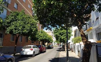 alquiler piso sevilla santa justa