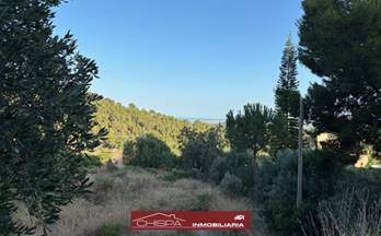 232 terrenos y fincas en venta resto provincia valencia