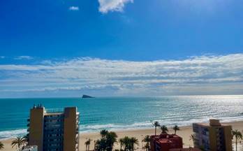 9 apartamentos en alquiler benidorm