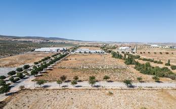 venta terrenos solares escuzar escúzar