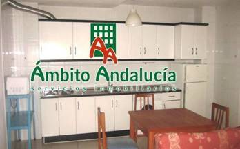 alquiler piso granada triunfo jardin