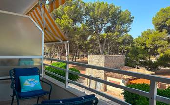1 estudios en alquiler mallorca islas baleares