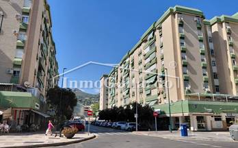 alquiler local malaga el palo