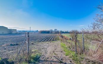 97 terrenos y fincas en venta alfacar