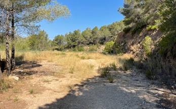 venta terrenos solares callosa d´en sarria 