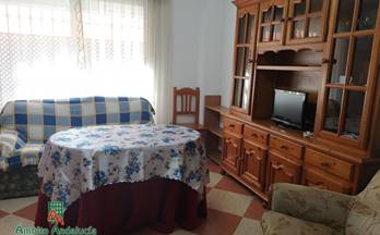 16 pisos en alquiler granada provincia