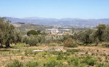 venta terrenos solares pinos de alhaurin pinos de alhaurín