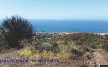 venta terrenos solares totalan totalán