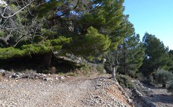 TERRENOS SOLARES en venta benifato