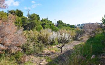 venta terrenos solares benissa la fustera