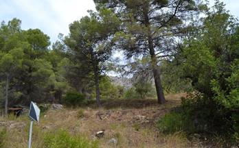 venta terrenos solares beniarda mas de sardina