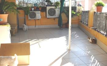 venta casa de pueblo velez malaga velez-malaga