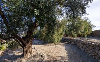 venta terrenos solares resto provincia el pinar