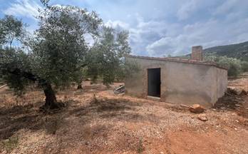 venta finca rustica freginals rústica