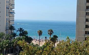 venta apartamento benidorm avenida del mediterraneo