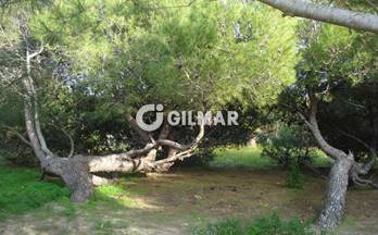 alquiler chalet rota rota