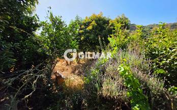 venta chalet teror teror