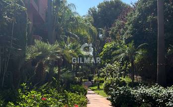 alquiler piso marbella jardines de don carlos