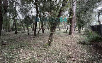 venta terrenos solares sa pobla 