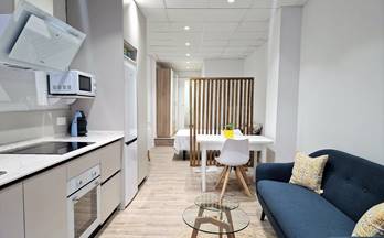 alquiler estudio granada constitucion