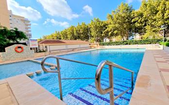 alquiler apartamento gandia plaza rosa de los vientos
