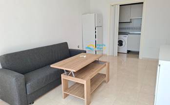 1 apartamentos en alquiler vicar